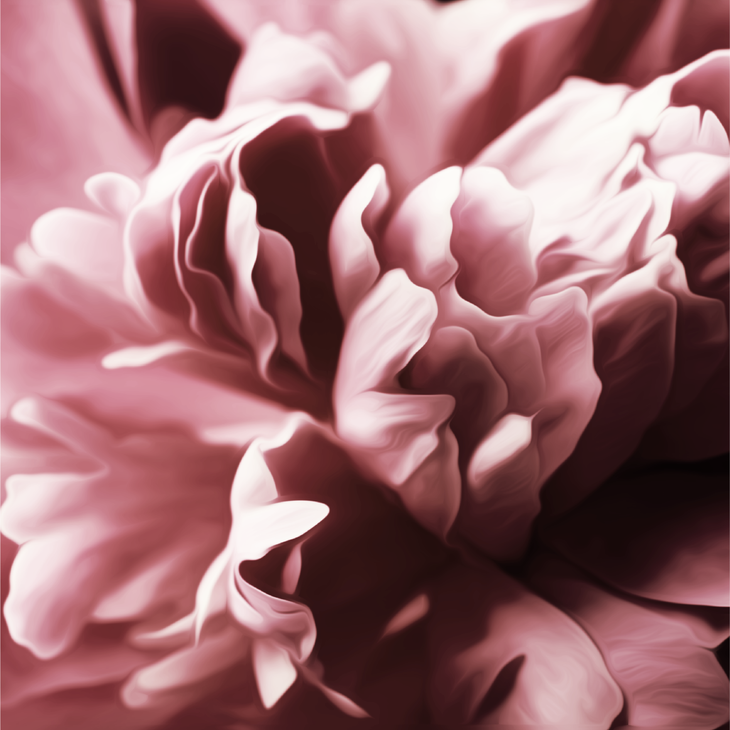 Simply Peony: A Spring Bouquet, Just Opened