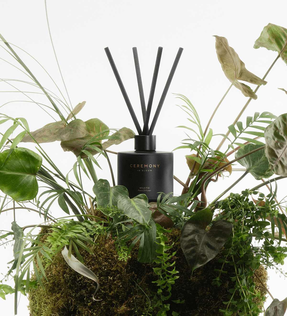 Reed Diffusers