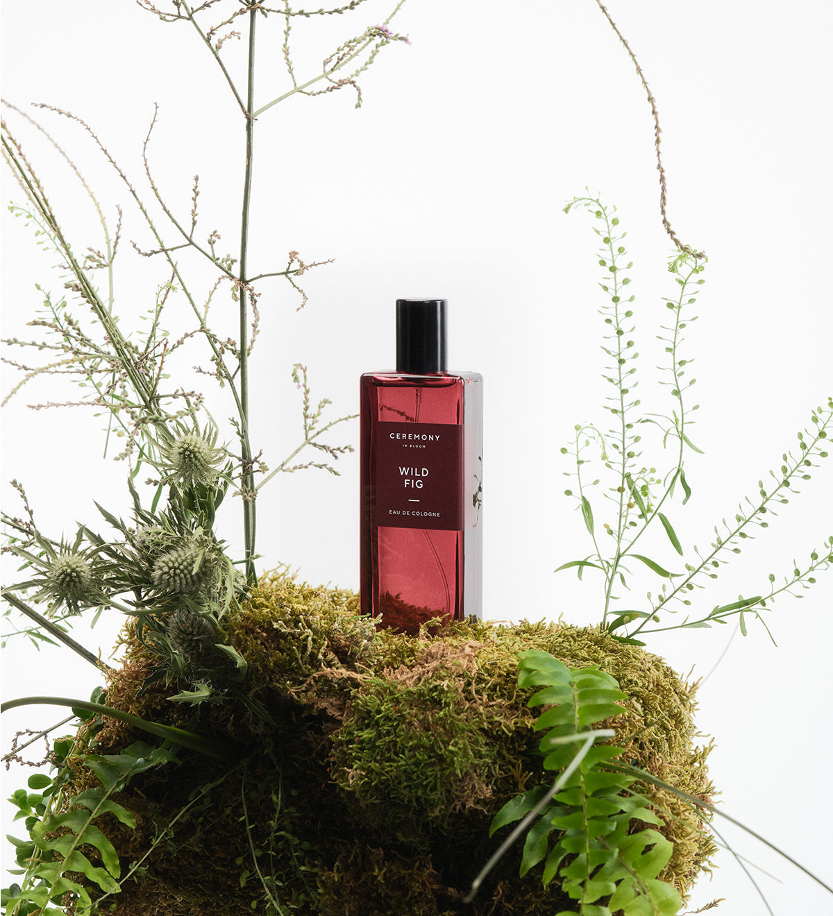 Eau de Cologne