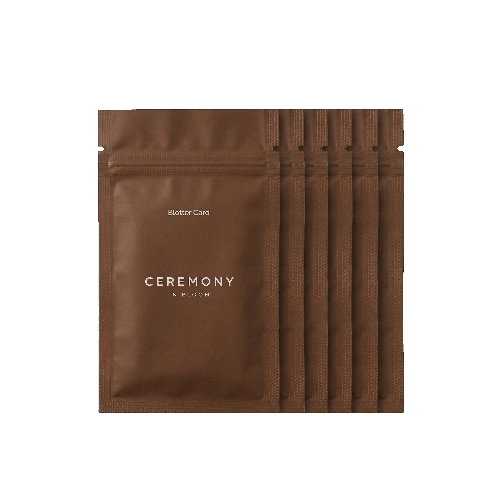 The Scent Edit — Blotter Cards